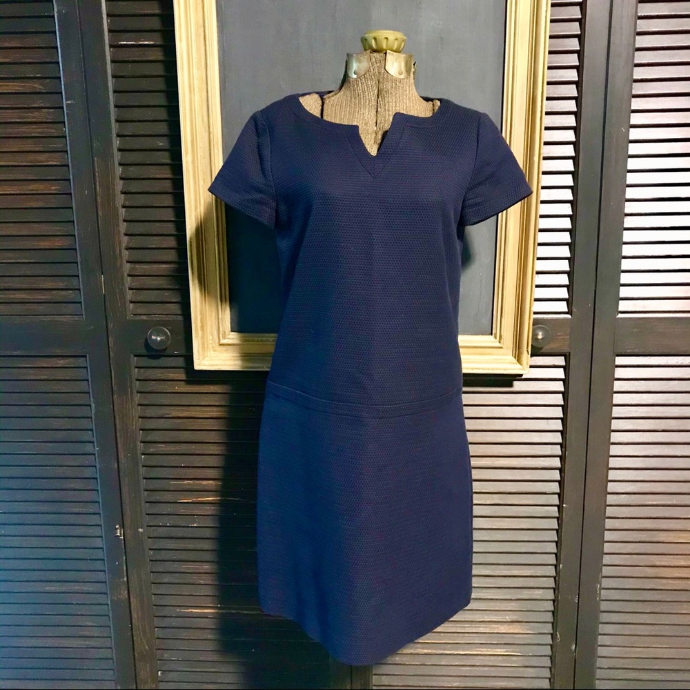 Brooks Brothers Dress